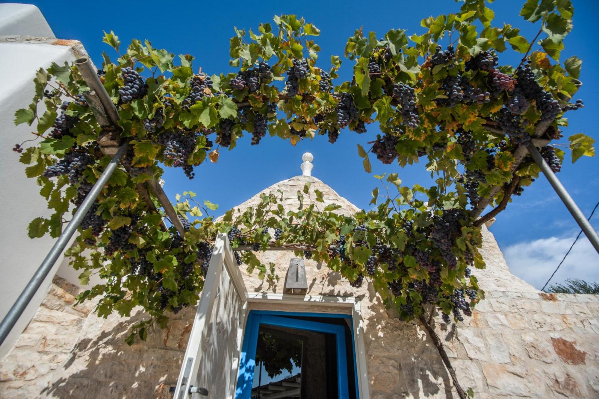 Willa Trullolive Ostuni Zewnętrze zdjęcie
